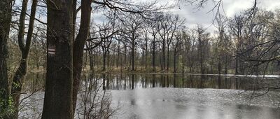 Przystań Bolesława Chrobrego ↔ Dziewin