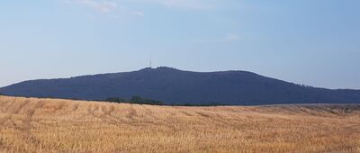 Biała ↔ Strzelce Świdnickie