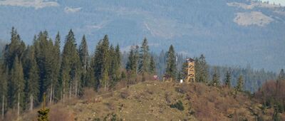 Surov, rázc. ↔ Krušetnica, most [Szlak Krušetnica - Surov. Widok na wieżę widokową nad Krušetnicą.]