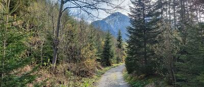 Monkova dolina ↔ Ždiar, Tatra