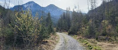 Monkova dolina ↔ Ždiar, Tatra