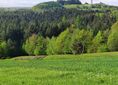 Zagórze ↔ Ciężkowice, komisariat [Widok na wieżę widokowa w Bruśniku]