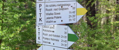 Stara Jodła, północ