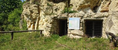 Ścianka Pożaryskich [Ścianka Pożaryskich]