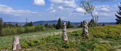 Targanice ↔ Pod Potrójną [Beskid Mały: Pod Potrójną - widok w stronę Leskowca]