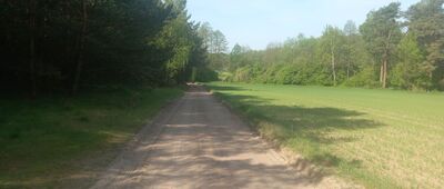 Golub-Dobrzyń ↔ Ciechocin, Drwęca