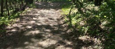 Kaszczorek ↔ Toruń, bike park