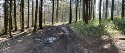 Rozdroże pod Marcińcem