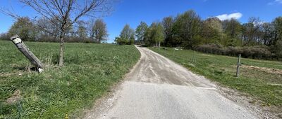 Ścieżka do kamiennego kręgu