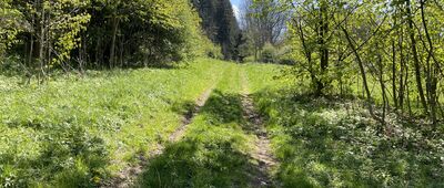 Odejście na Mysłowską Turnię