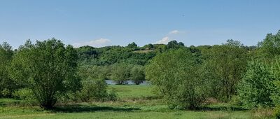 Rozejście szlaków ↔ Zalesie Górzyckie [Wisła i rezerwat Góry Pieprzowe za nią.]