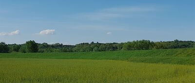 Sandomierz, Powiśle [Na horyzoncie rezerwat Góry Pieprzowe.]