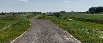 Zalesie Górzyckie [Po prawej rzeka Trześniówka.]