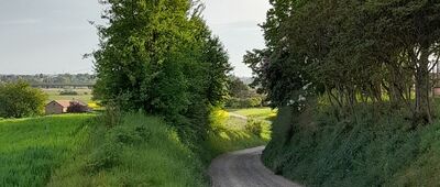 Łysaków, rozejście szlaków ↔ Łysaków