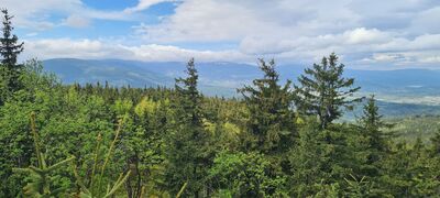 Widok z jednej ze skał w okolicy Ostra Mała