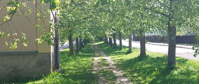 Králíky, Opletala ↔ Křížová cesta Hedeč