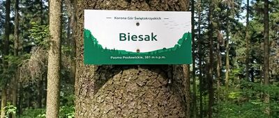 Biesak