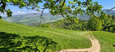 Widok na Beskid Sądecki na granicy Rezerwatu Wysokie Skałki