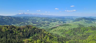 Widok z Wysokiej w kierunku Tatr