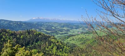 Tatry z punktu widokowego pod Wysoką