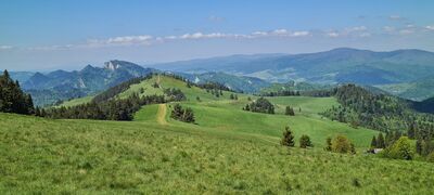 Widok z Durbaszki w kierunku Wysokiego Wierchu i dalej Trzech Koron