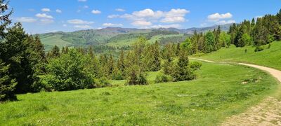 Droga prowadząca do Schroniska pod Durbaszką