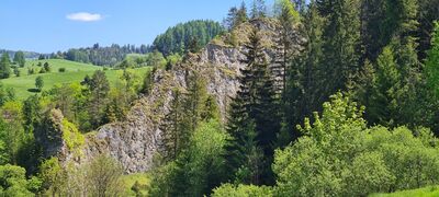 Widok na Wapiennik przy wejściu do Wąwozu Homole