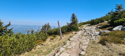 Szlak czerwony pod Smogornią