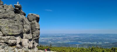 Słonecznik 1420 m n.p.m.