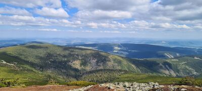 Widok z Drogi Jubileuszowej w kierunku wschodnim