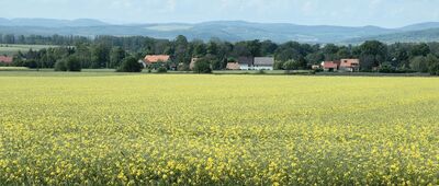 Pod Czeską Górą ↔ Czernica