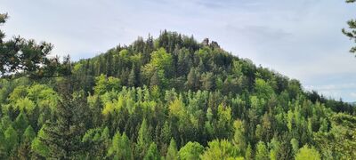 Widok na Sokoliki z Husyckich Skał