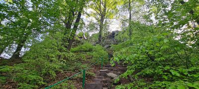 Strome podejście na Krzyżną Górę