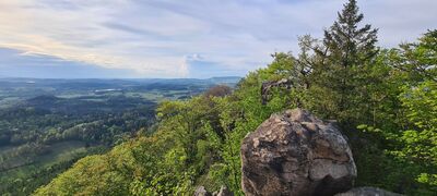 Widok z Krzyżej Góry przez Zamkowe Skały
