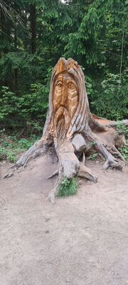 Rzeźba Liczyrzepy na Przełączce