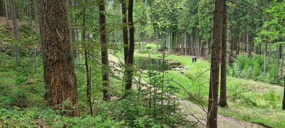 Żółty szlak w Dolinie Janówki