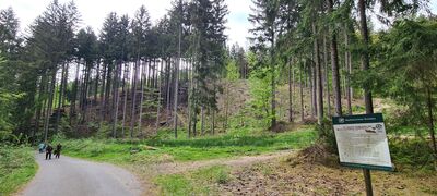 Rozdroże pod zamkiem Bolczów