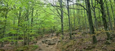 Niebieski szlak w kierunku Głazisk Janowickich