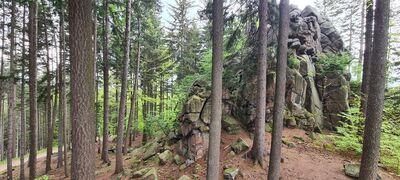 Skały w rejonie Suchej Góry