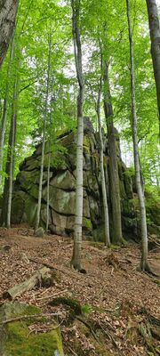 Druga Wartownia