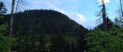 Sokołowiec, skrzyżowanie ↔ Rozejście szlaków