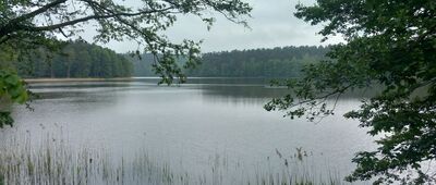Stare Jabłonki, skansen fortyfikacji wojennych ↔ Stare Jabłonki, jezioro Szeląg Mały