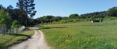 Żelazko, rozejście szlaków