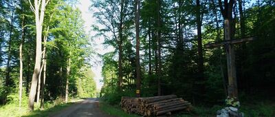 Pod Ruskową Skałą