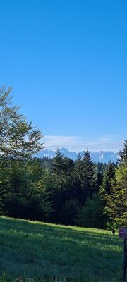Widok na Tatry z polany przy Schronisku PTTK Stare Wierchy