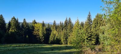Czerwony szlak z widokiem na Tatry