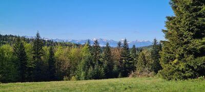 Widok z Polany Pudziskiej na Tatry