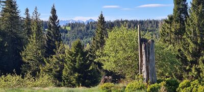 Widok na Tatry z czerwonego szlaku w okolicach Obidowca