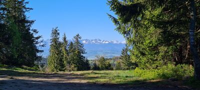 Widok spod Rozdziele 1188 m n.p.m. na Tatry