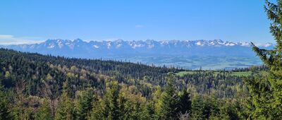 Rozdziele [Widok spod Rozdziele 1188 m n.p.m. na Tatry]